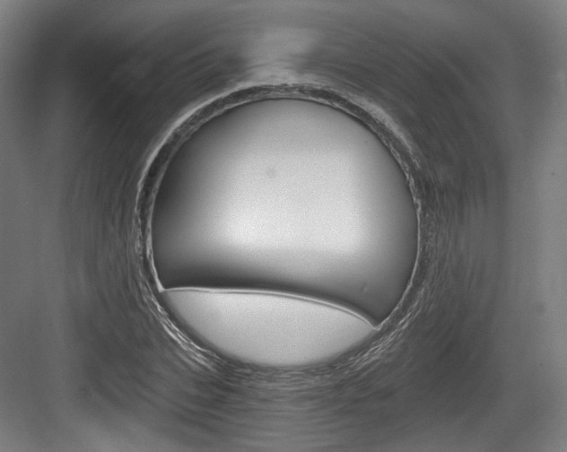 X0000084040927200702160849