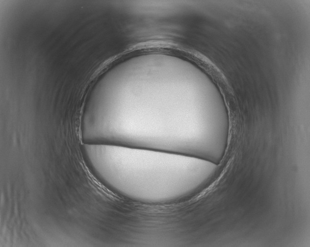 X0000084040929200702160849