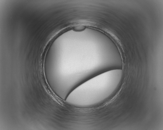 X0000084040933200702160849