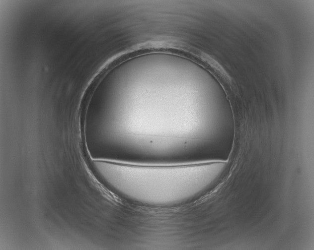 X0000084040934200702160849