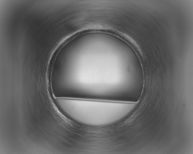 X0000084040935200702160849