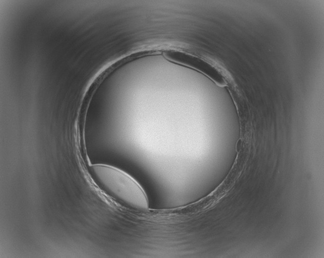 X0000084040936200702160849