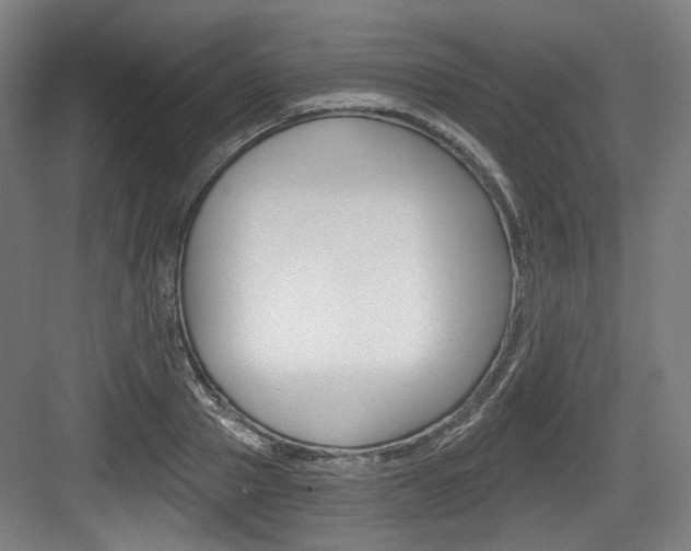 X0000084040937200702160849