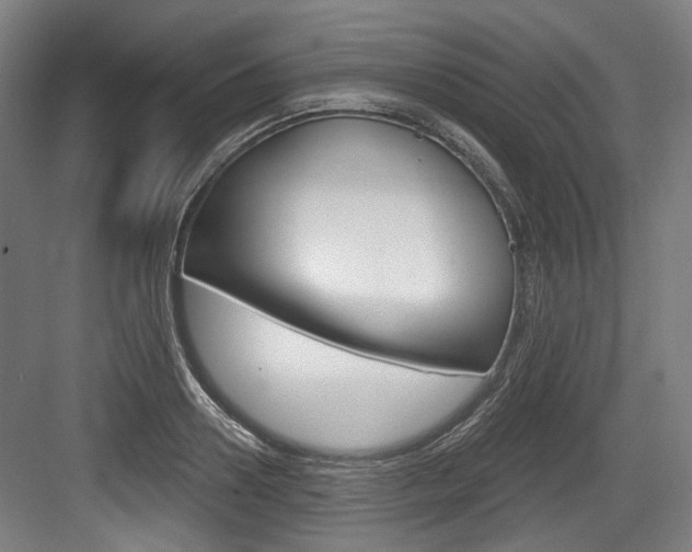X0000084040938200702160850