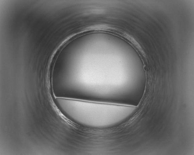 X0000084040939200702160850