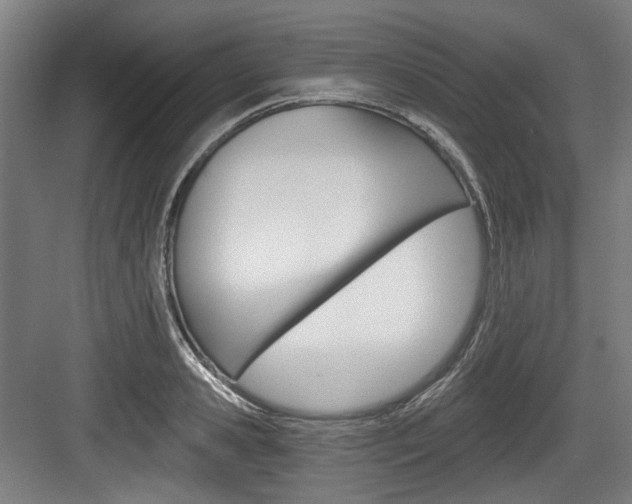 X0000084040941200702160850