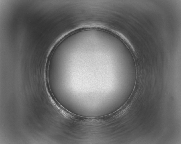 X0000084040943200702160850