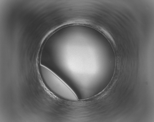 X0000084040944200702160850
