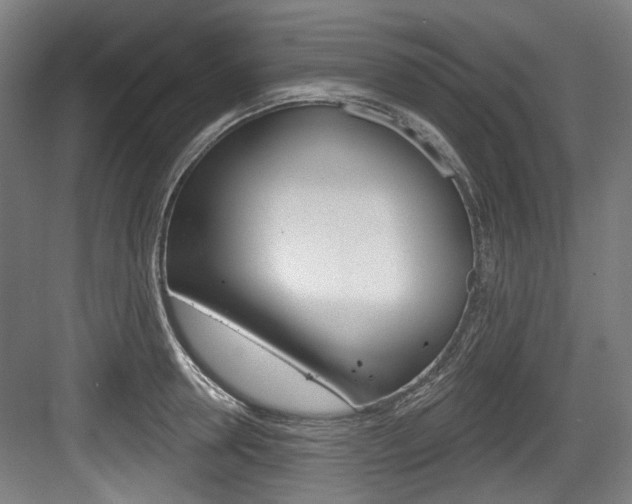 X0000084040946200702160850