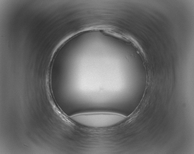 X0000084040952200702160850