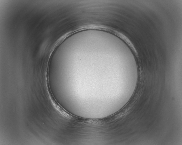 X0000084040954200702160850