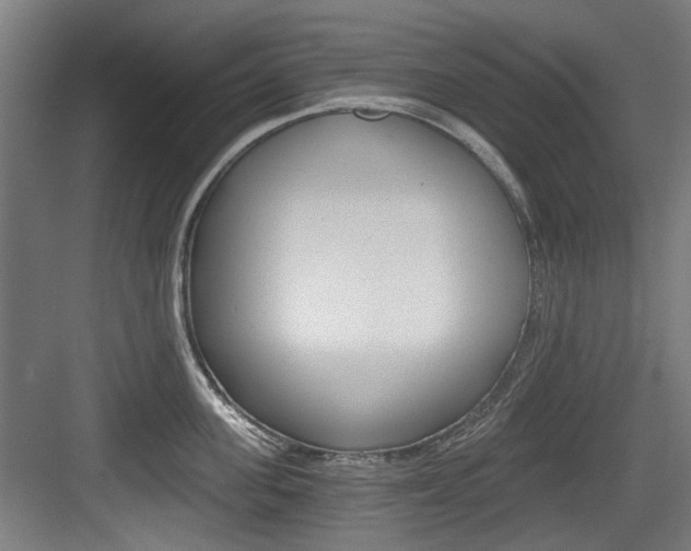 X0000084040955200702160850