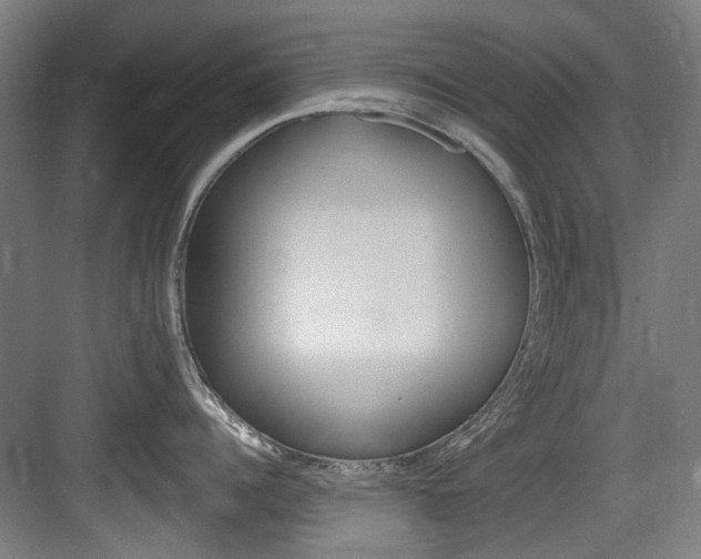 X0000084040960200702160850