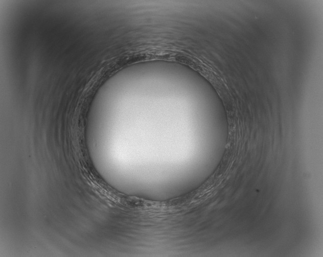 X0000084040961200702160849