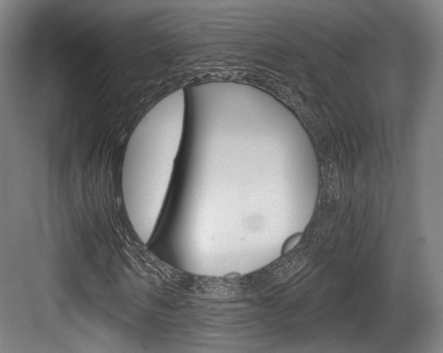 X0000084040962200702160849