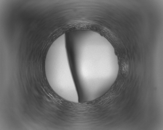 X0000084040964200702160849