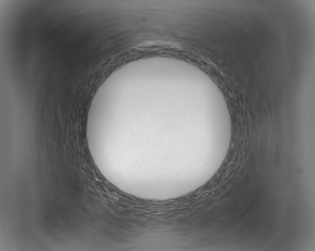 X0000084040965200702160849