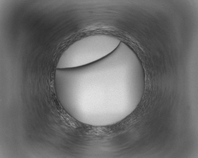 X0000084040966200702160849