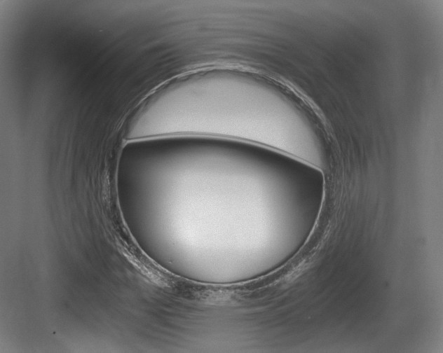 X0000084040969200702160849