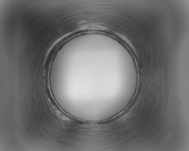 X0000084040971200702160849