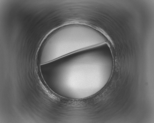 X0000084040972200702160849