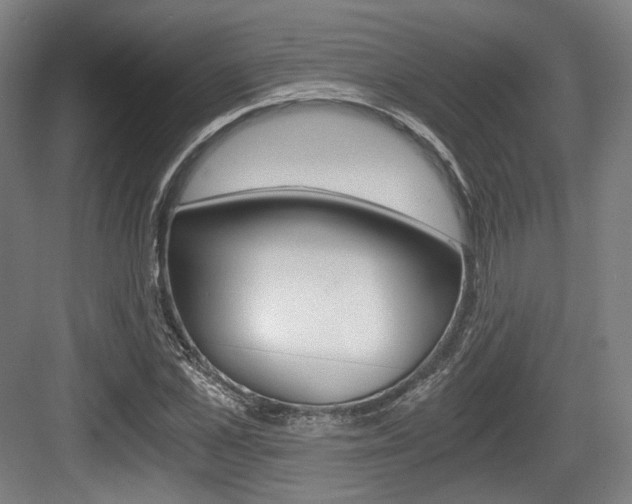 X0000084040973200702160849