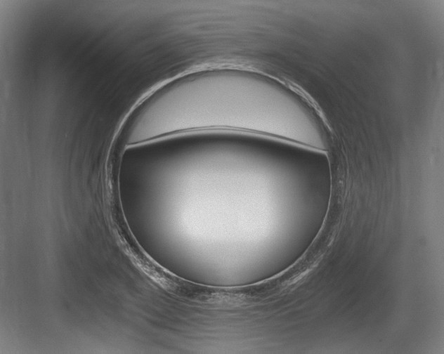X0000084040981200702160849