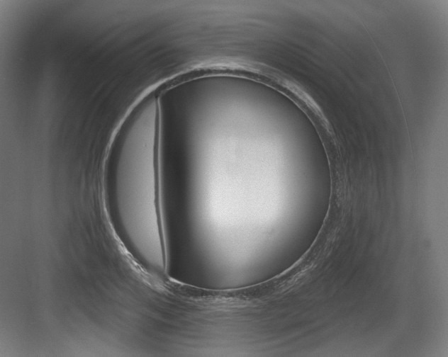 X0000084040984200702160849