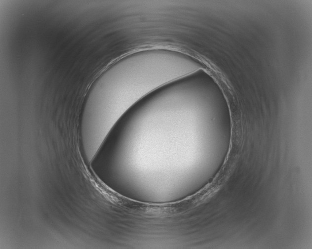 X0000084040985200702160849