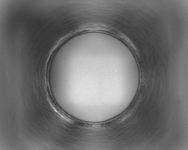 X0000084040986200702160849