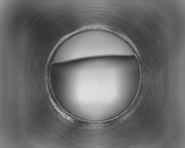 X0000084040989200702160849