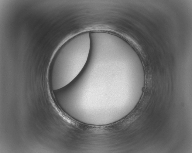X0000084040990200702160849