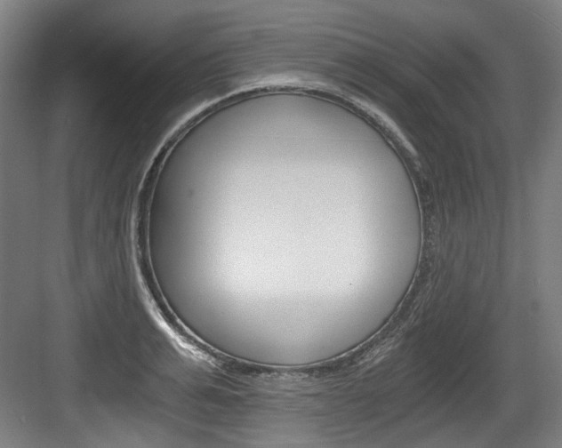 X0000084040991200702160849