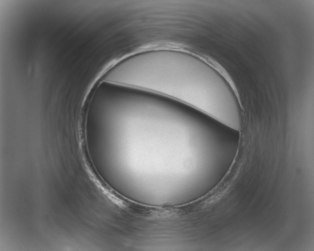 X0000084040997200702160848