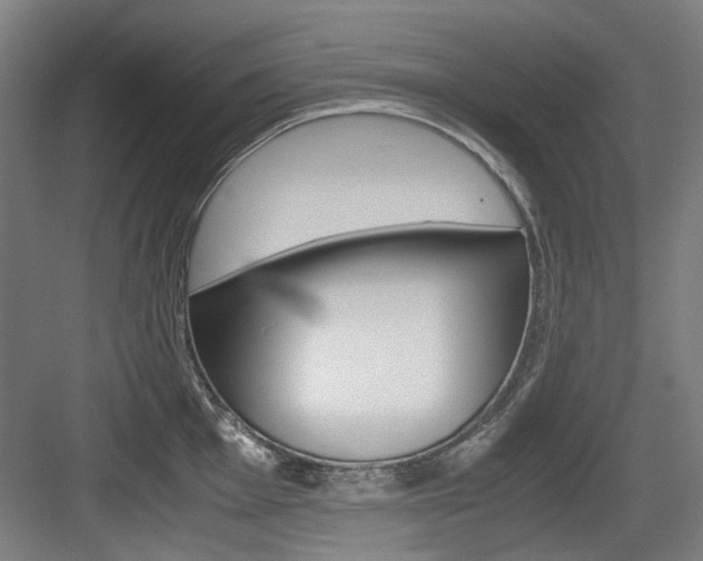 X0000084041001200702160848