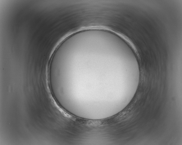 X0000084041006200702160848