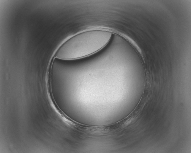 X0000084041007200702160848