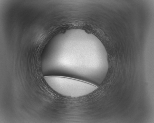 X0000084041009200702160847