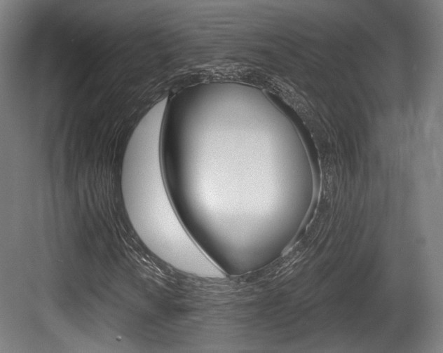 X0000084041010200702160847