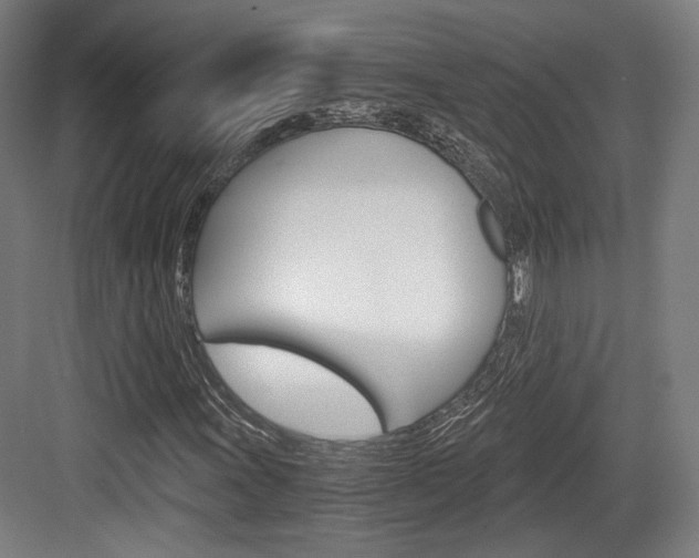 X0000084041011200702160848