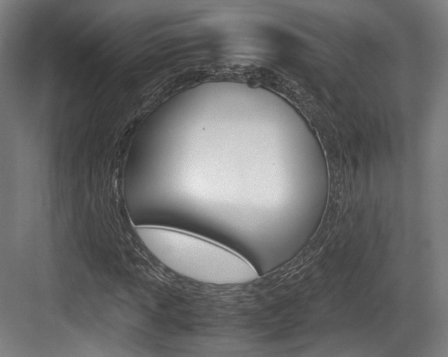 X0000084041013200702160848