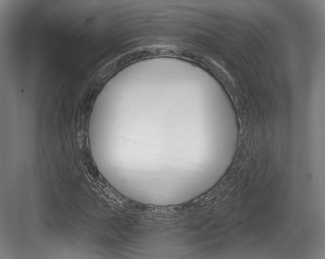 X0000084041015200702160848