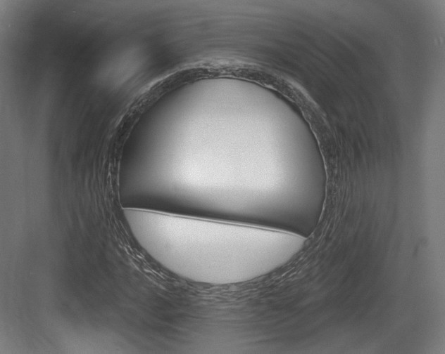 X0000084041016200702160848