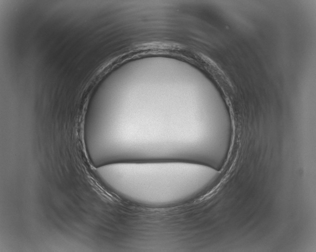 X0000084041017200702160848