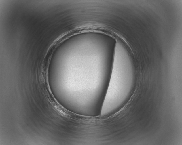 X0000084041018200702160848