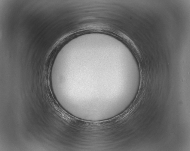 X0000084041019200702160848