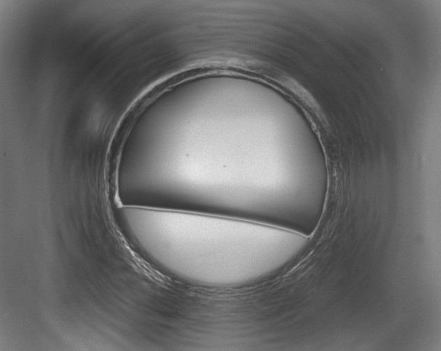 X0000084041020200702160848