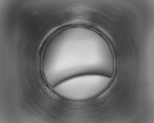 X0000084041021200702160848