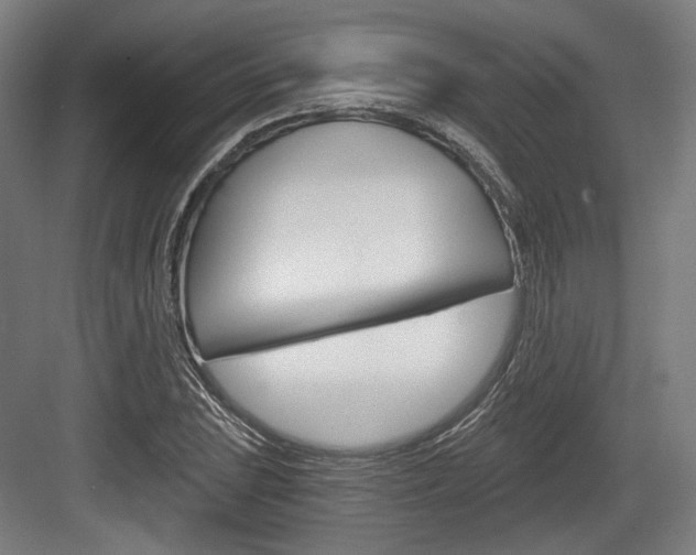X0000084041023200702160848