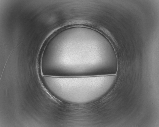 X0000084041024200702160848